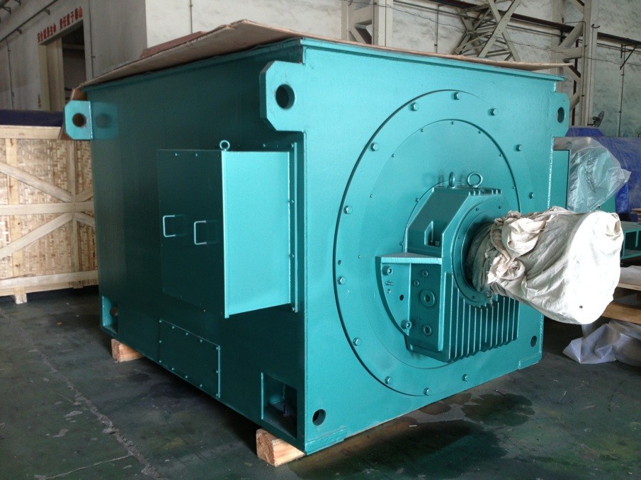 10kv西瑪高壓電機(jī)(10kv高壓電機(jī)技術(shù)協(xié)議)
