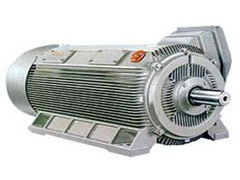 高壓電機(jī)總出問題，看看是不是防護(hù)不到位