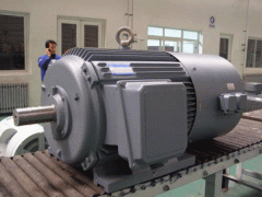 變頻電機(jī)的ZTP電機(jī)應(yīng)用場合。