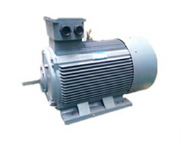 深圳西瑪電機廠交流電機高壓西瑪電機型號(圖3) 深圳電機廠高壓電機型號